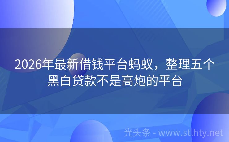 2026年最新借钱平台蚂蚁，整理五个黑白贷款不是高炮的平台