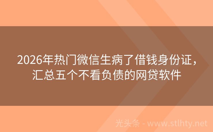 2026年热门微信生病了借钱身份证，汇总五个不看负债的网贷软件