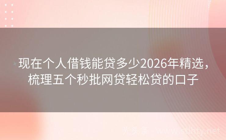 现在个人借钱能贷多少2026年精选，梳理五个秒批网贷轻松贷的口子