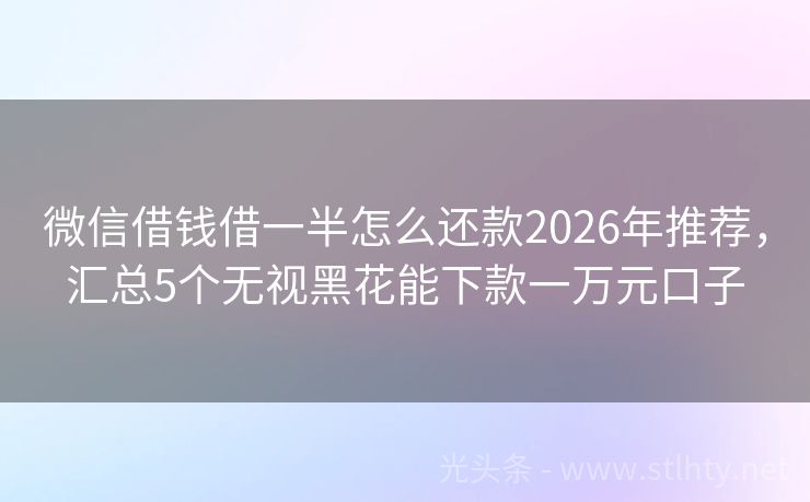微信借钱借一半怎么还款2026年推荐，汇总5个无视黑花能下款一万元口子