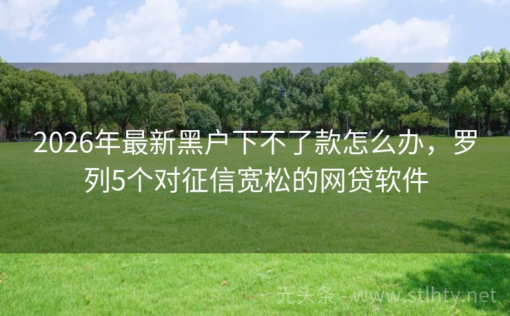 2026年最新黑户下不了款怎么办，罗列5个对征信宽松的网贷软件