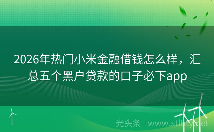 2026年热门小米金融借钱怎么样，汇总五个黑户贷款的口子必下app