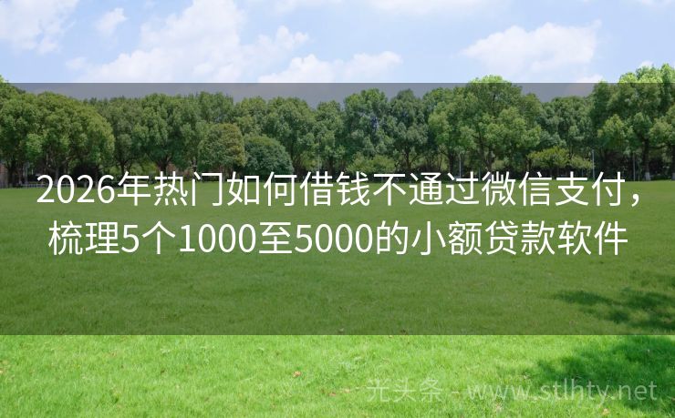 2026年热门如何借钱不通过微信支付，梳理5个1000至5000的小额贷款软件