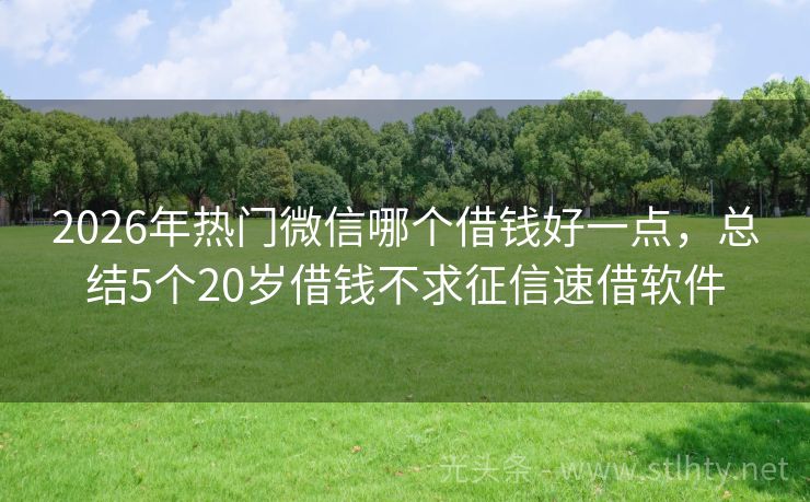 2026年热门微信哪个借钱好一点，总结5个20岁借钱不求征信速借软件