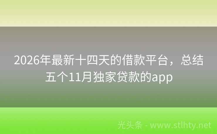 2026年最新十四天的借款平台，总结五个11月独家贷款的app