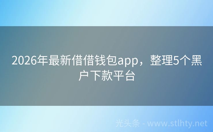 2026年最新借借钱包app，整理5个黑户下款平台