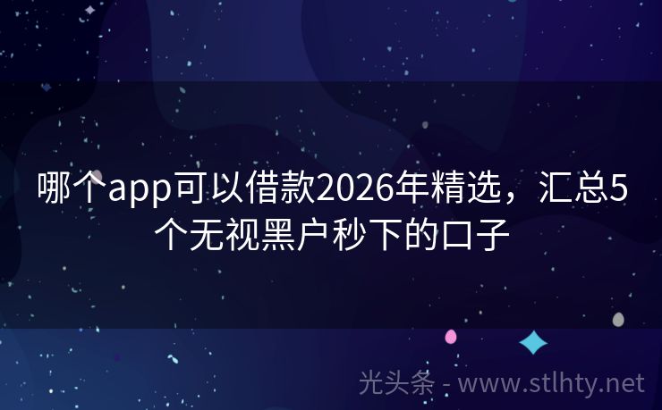哪个app可以借款2026年精选，汇总5个无视黑户秒下的口子