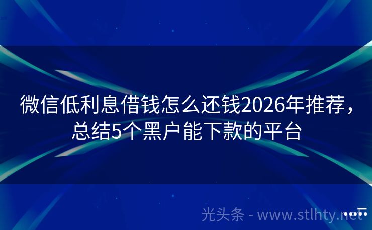 微信低利息借钱怎么还钱2026年推荐，总结5个黑户能下款的平台