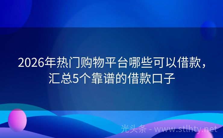 2026年热门购物平台哪些可以借款，汇总5个靠谱的借款口子