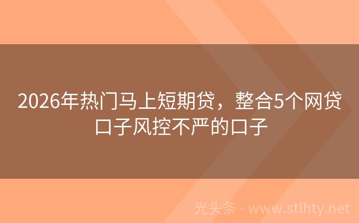 2026年热门马上短期贷，整合5个网贷口子风控不严的口子