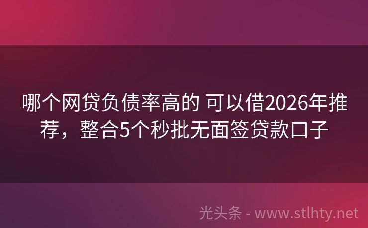 哪个网贷负债率高的 可以借2026年推荐，整合5个秒批无面签贷款口子