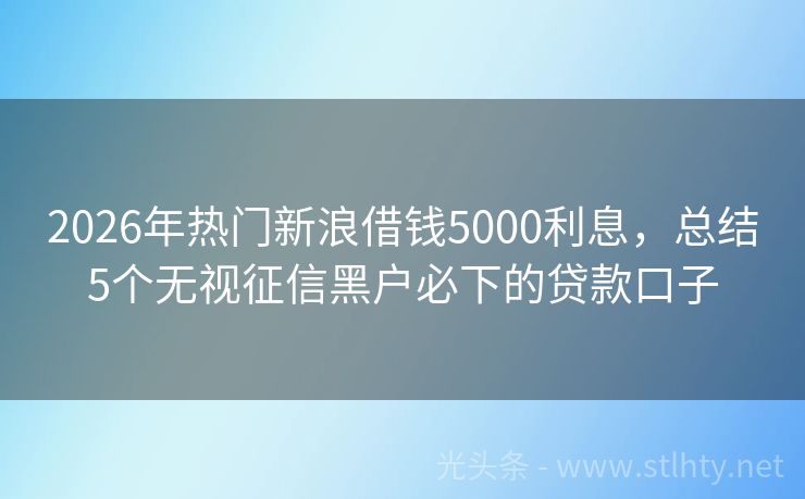 2026年热门新浪借钱5000利息，总结5个无视征信黑户必下的贷款口子