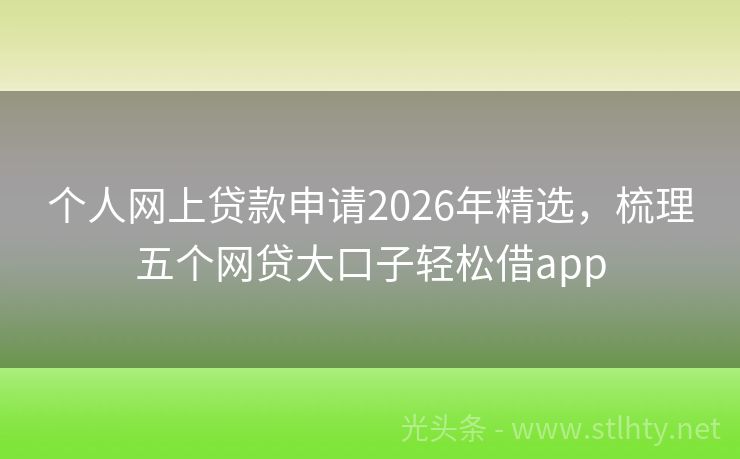 个人网上贷款申请2026年精选，梳理五个网贷大口子轻松借app