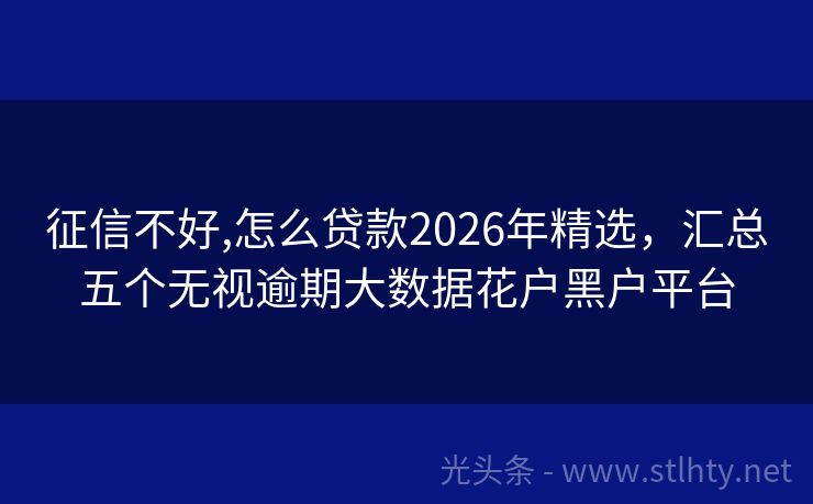 征信不好,怎么贷款2026年精选，汇总五个无视逾期大数据花户黑户平台