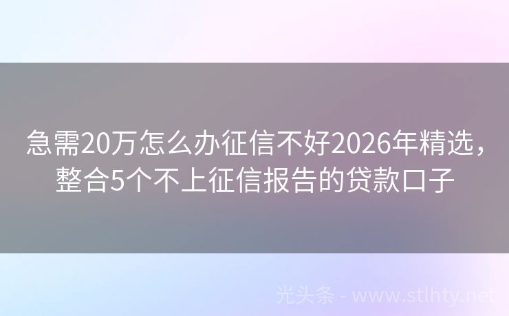 急需20万怎么办征信不好2026年精选，整合5个不上征信报告的贷款口子