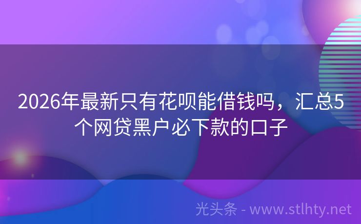 2026年最新只有花呗能借钱吗，汇总5个网贷黑户必下款的口子