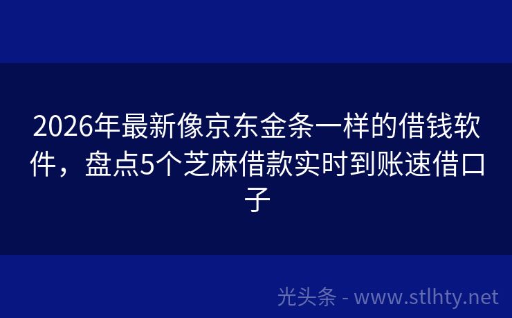 2026年最新像京东金条一样的借钱软件，盘点5个芝麻借款实时到账速借口子