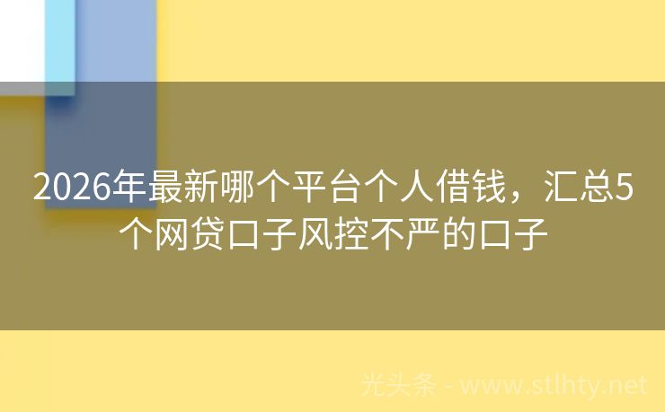 2026年最新哪个平台个人借钱，汇总5个网贷口子风控不严的口子
