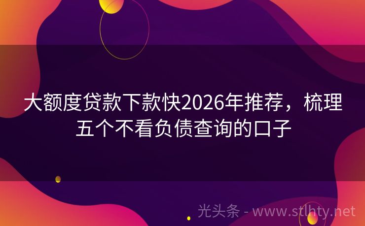 大额度贷款下款快2026年推荐，梳理五个不看负债查询的口子