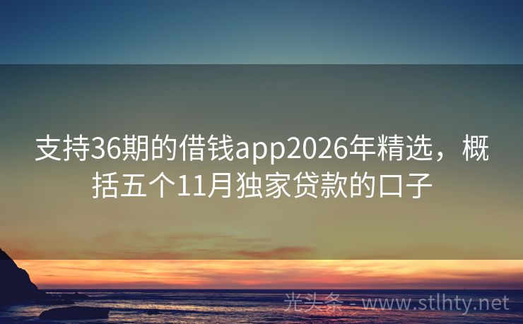 支持36期的借钱app2026年精选，概括五个11月独家贷款的口子