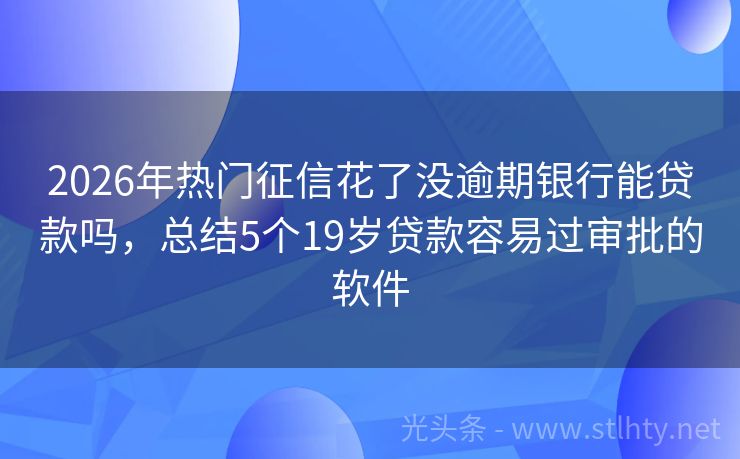 2026年热门征信花了没逾期银行能贷款吗，总结5个19岁贷款容易过审批的软件