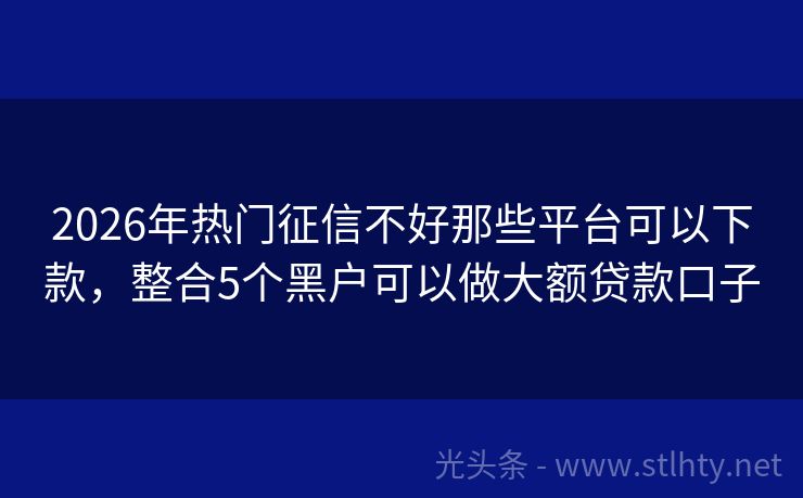 2026年热门征信不好那些平台可以下款，整合5个黑户可以做大额贷款口子