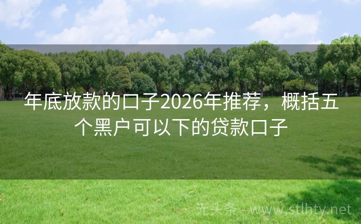 年底放款的口子2026年推荐，概括五个黑户可以下的贷款口子