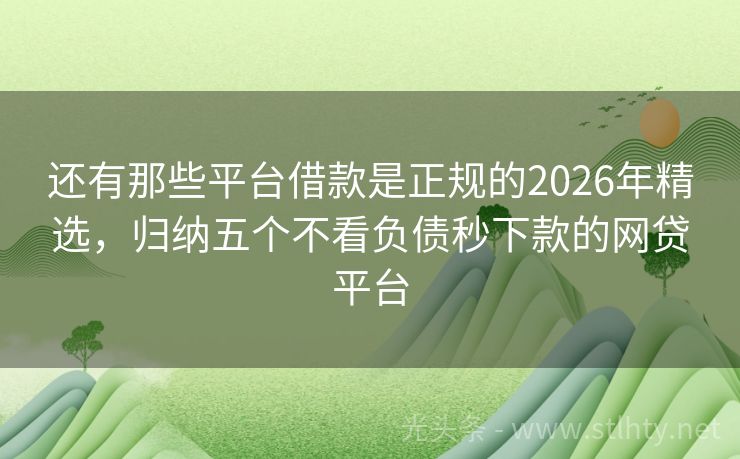 还有那些平台借款是正规的2026年精选，归纳五个不看负债秒下款的网贷平台