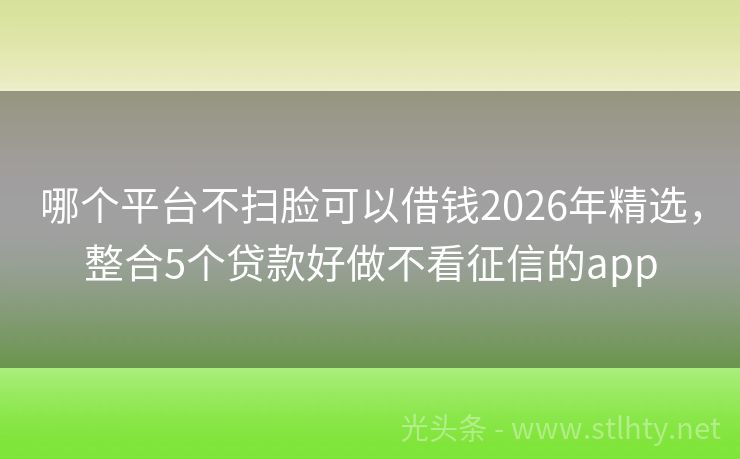 哪个平台不扫脸可以借钱2026年精选，整合5个贷款好做不看征信的app
