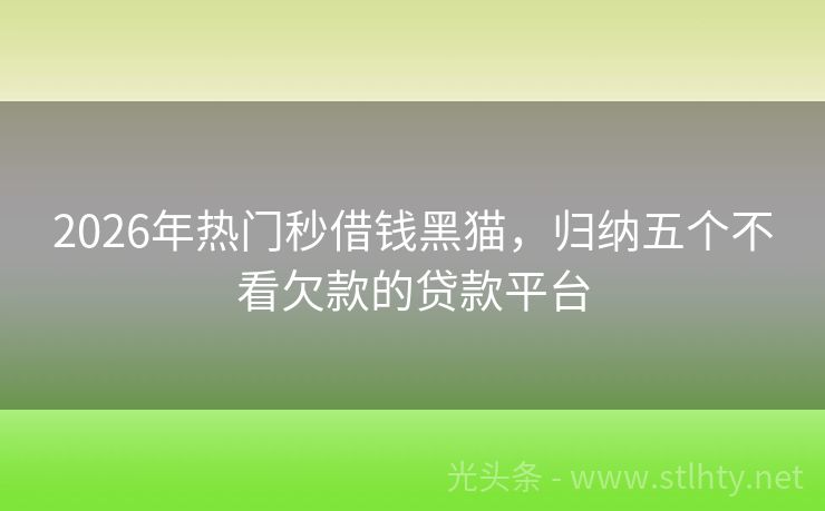 2026年热门秒借钱黑猫，归纳五个不看欠款的贷款平台