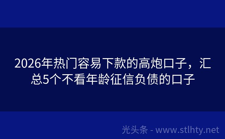 2026年热门容易下款的高炮口子，汇总5个不看年龄征信负债的口子