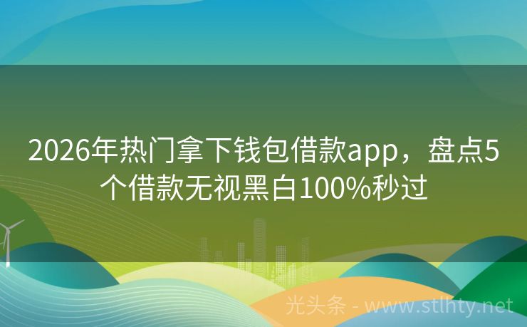 2026年热门拿下钱包借款app，盘点5个借款无视黑白100%秒过