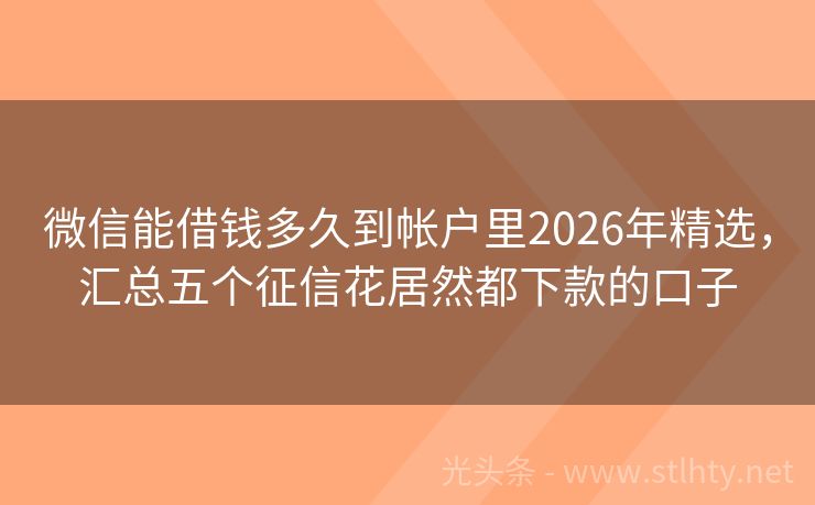 微信能借钱多久到帐户里2026年精选，汇总五个征信花居然都下款的口子