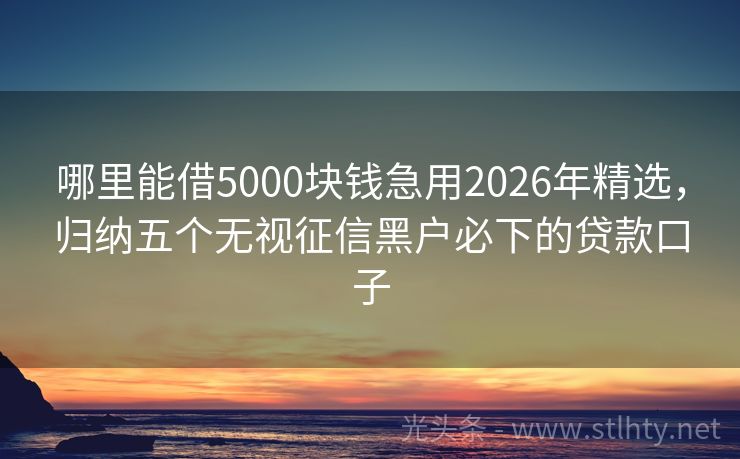 哪里能借5000块钱急用2026年精选，归纳五个无视征信黑户必下的贷款口子
