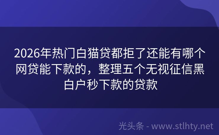 2026年热门白猫贷都拒了还能有哪个网贷能下款的，整理五个无视征信黑白户秒下款的贷款