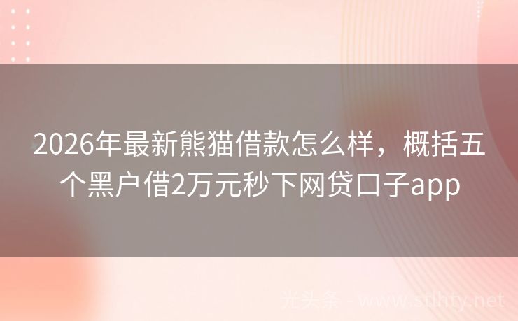 2026年最新熊猫借款怎么样，概括五个黑户借2万元秒下网贷口子app