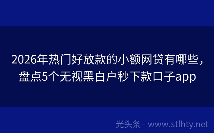 2026年热门好放款的小额网贷有哪些，盘点5个无视黑白户秒下款口子app