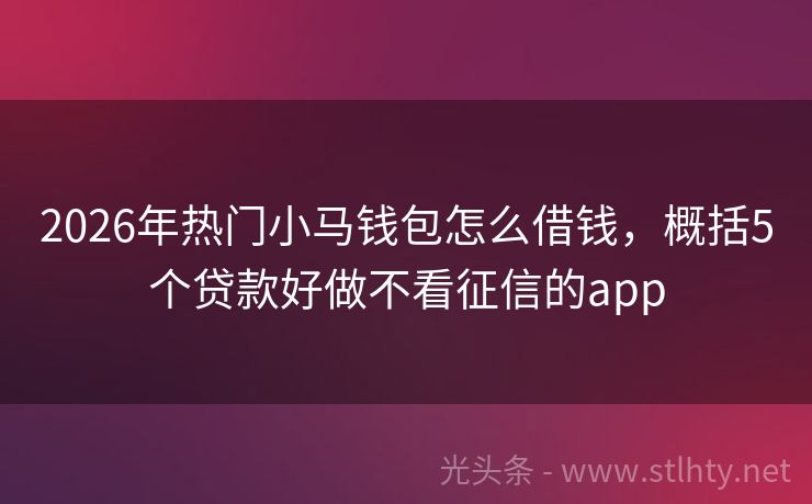 2026年热门小马钱包怎么借钱，概括5个贷款好做不看征信的app