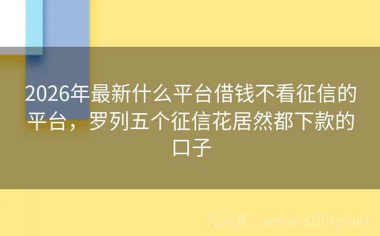 2026年最新什么平台借钱不看征信的平台，罗列五个征信花居然都下款的口子