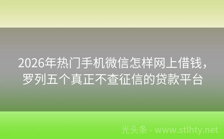 2026年热门手机微信怎样网上借钱，罗列五个真正不查征信的贷款平台