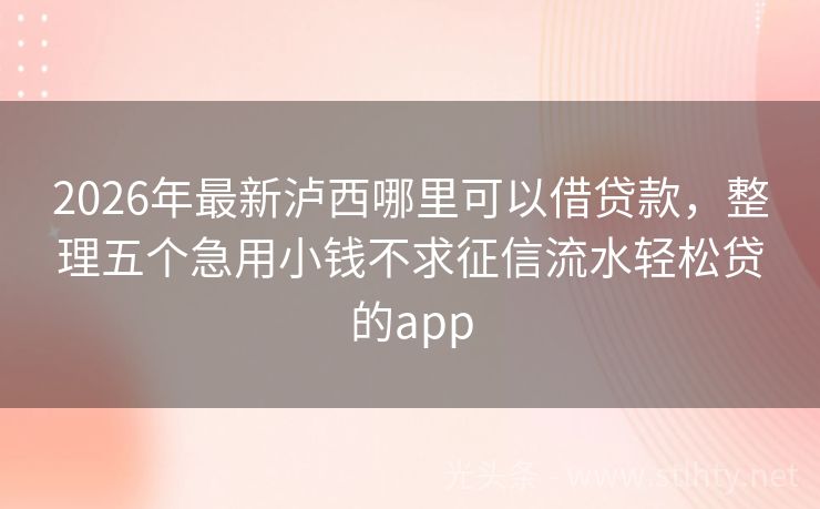 2026年最新泸西哪里可以借贷款，整理五个急用小钱不求征信流水轻松贷的app