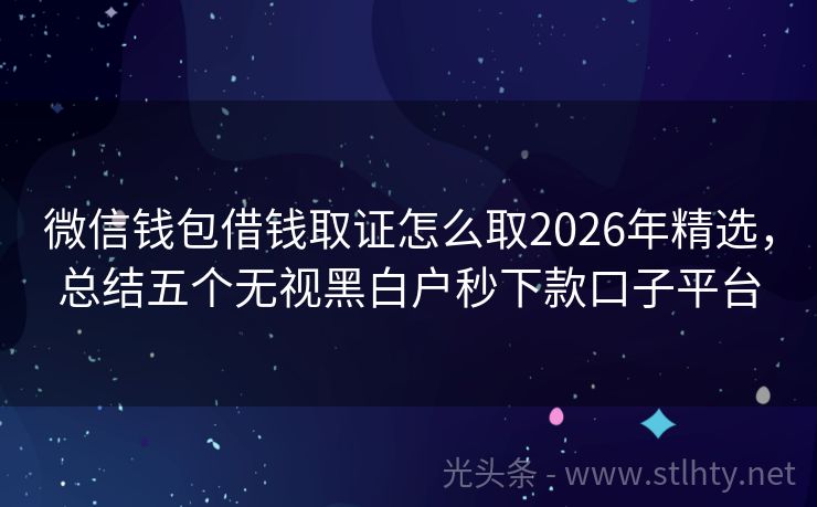 微信钱包借钱取证怎么取2026年精选，总结五个无视黑白户秒下款口子平台