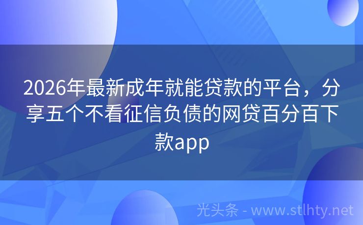 2026年最新成年就能贷款的平台，分享五个不看征信负债的网贷百分百下款app