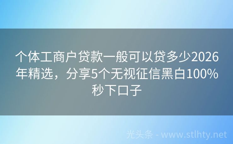 个体工商户贷款一般可以贷多少2026年精选，分享5个无视征信黑白100%秒下口子