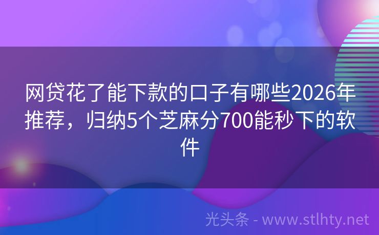 网贷花了能下款的口子有哪些2026年推荐，归纳5个芝麻分700能秒下的软件