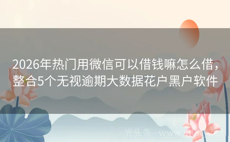 2026年热门用微信可以借钱嘛怎么借，整合5个无视逾期大数据花户黑户软件