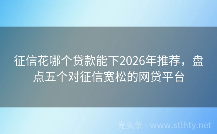 征信花哪个贷款能下2026年推荐，盘点五个对征信宽松的网贷平台