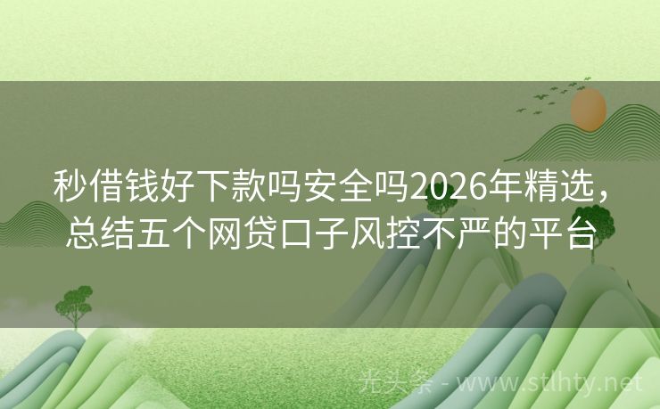 秒借钱好下款吗安全吗2026年精选，总结五个网贷口子风控不严的平台