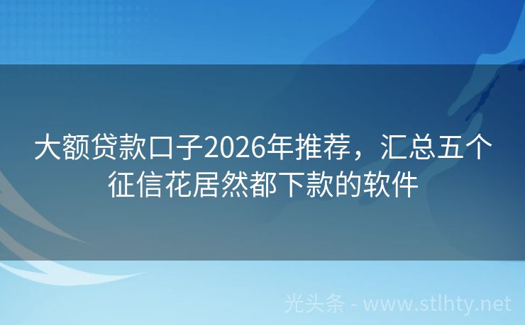 大额贷款口子2026年推荐，汇总五个征信花居然都下款的软件