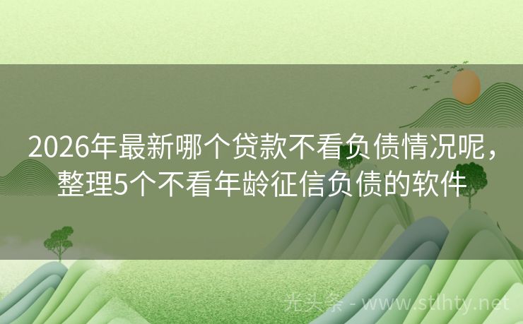 2026年最新哪个贷款不看负债情况呢，整理5个不看年龄征信负债的软件
